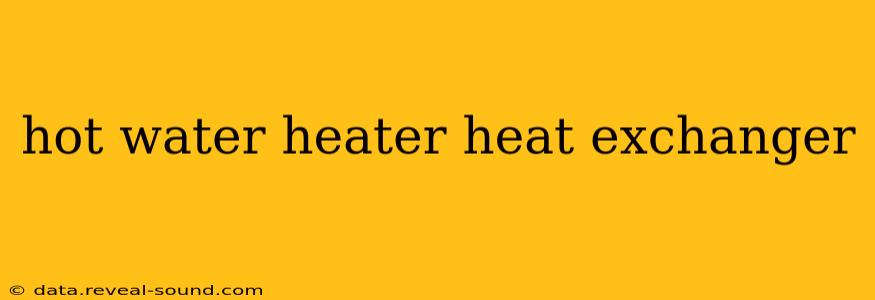 hot water heater heat exchanger