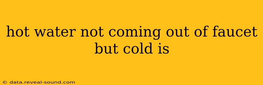 hot water not coming out of faucet but cold is