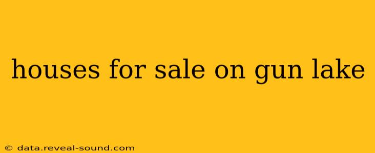 houses for sale on gun lake