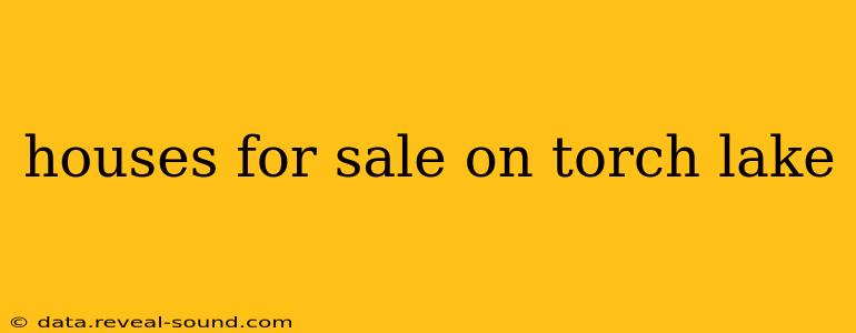 houses for sale on torch lake