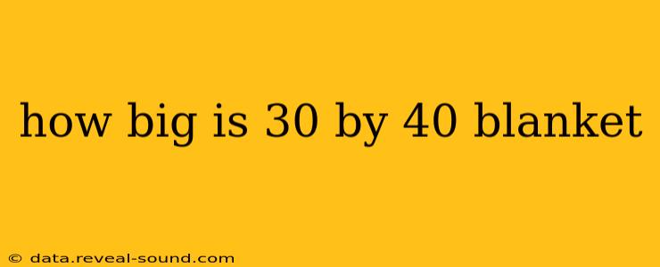 how big is 30 by 40 blanket