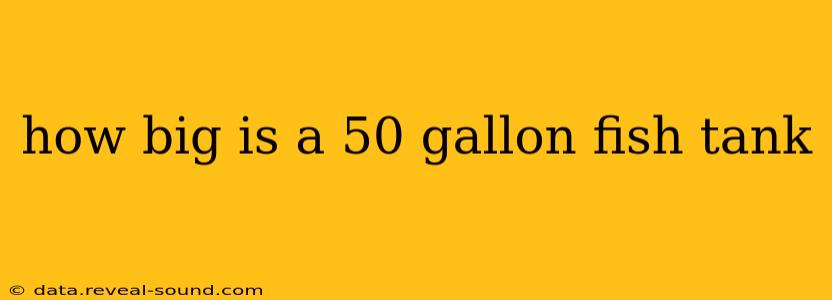 how big is a 50 gallon fish tank