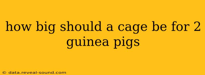 how big should a cage be for 2 guinea pigs