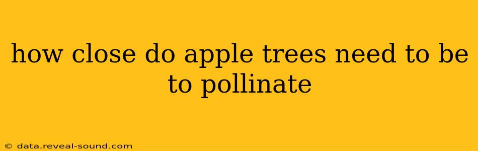 how close do apple trees need to be to pollinate