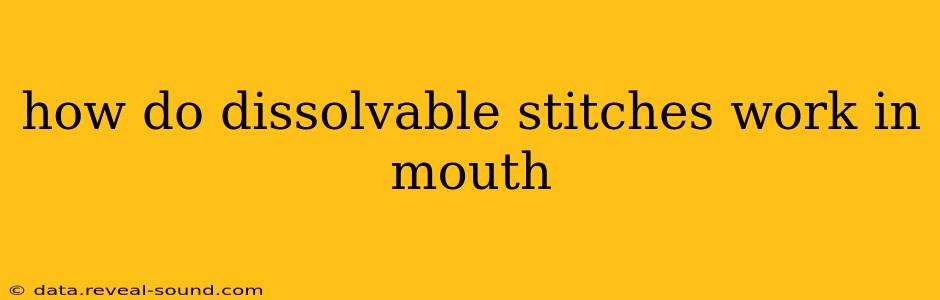 how do dissolvable stitches work in mouth