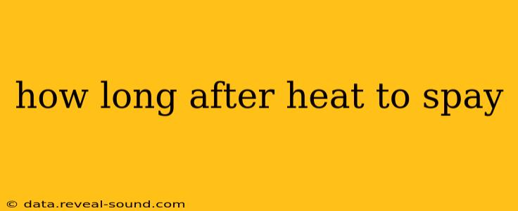 how long after heat to spay
