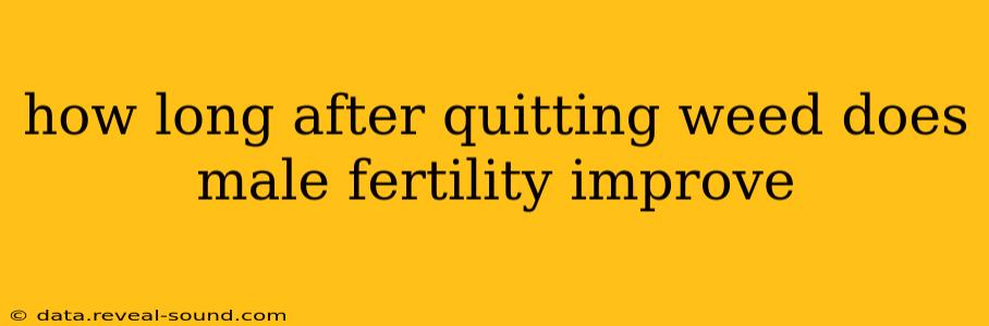 how long after quitting weed does male fertility improve