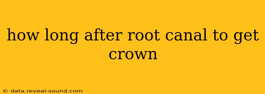 how long after root canal to get crown