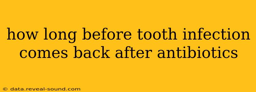 how long before tooth infection comes back after antibiotics