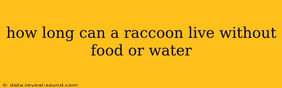 how long can a raccoon live without food or water