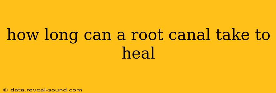 how long can a root canal take to heal