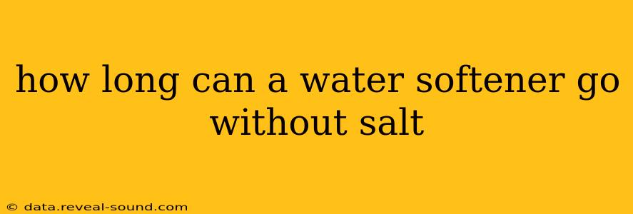 how long can a water softener go without salt