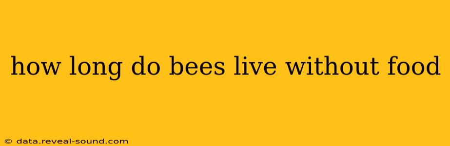 how long do bees live without food