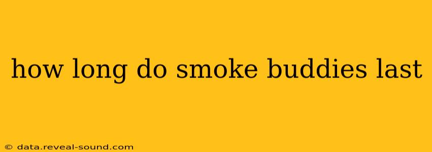 how long do smoke buddies last