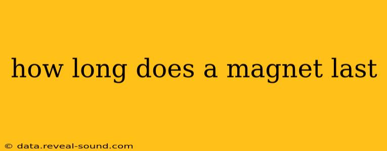 how long does a magnet last