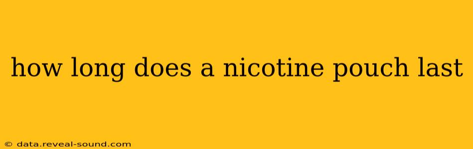 how long does a nicotine pouch last
