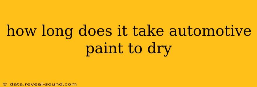 how long does it take automotive paint to dry