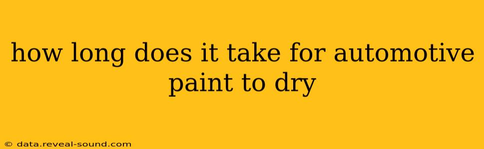 how long does it take for automotive paint to dry