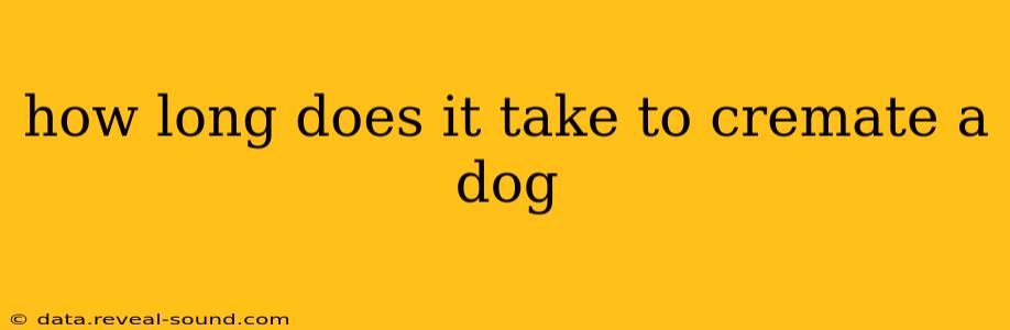 how long does it take to cremate a dog