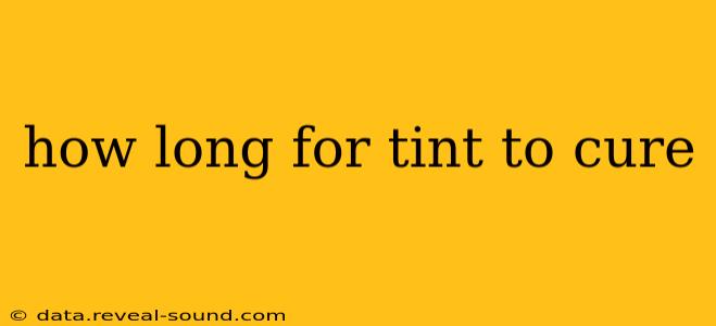 how long for tint to cure