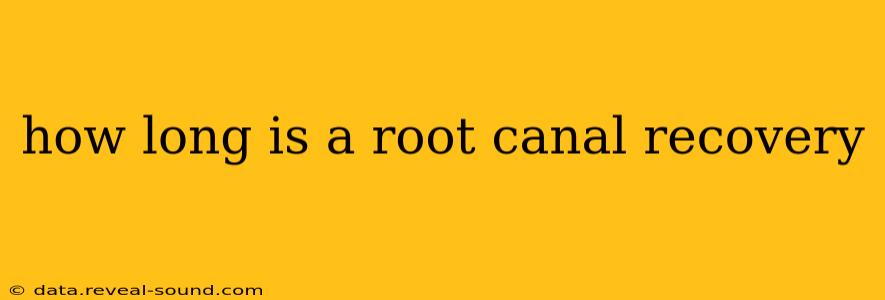 how long is a root canal recovery