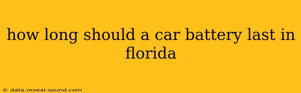 how long should a car battery last in florida