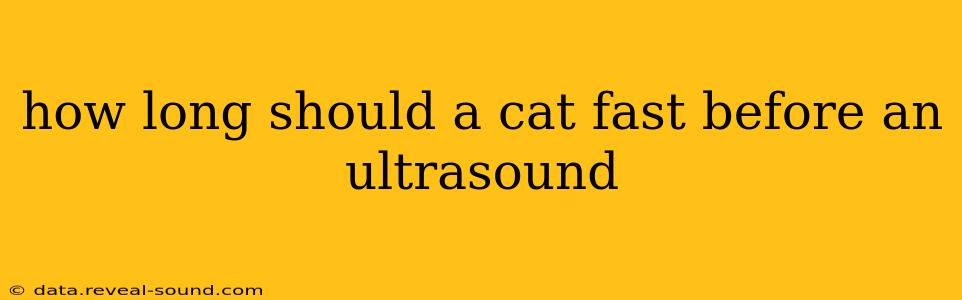how long should a cat fast before an ultrasound
