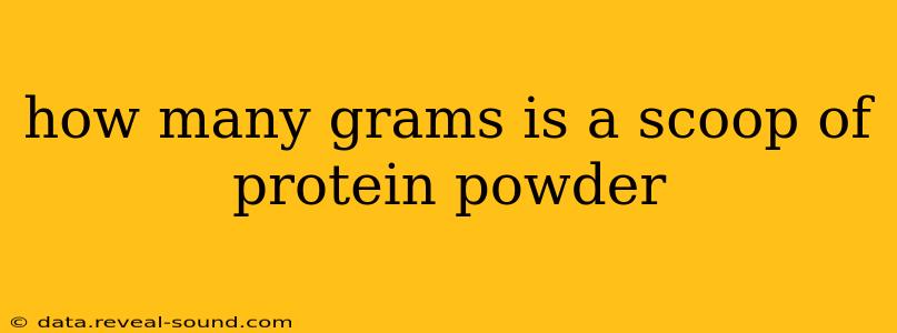 how many grams is a scoop of protein powder