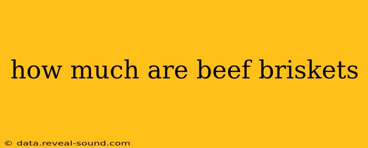 how much are beef briskets