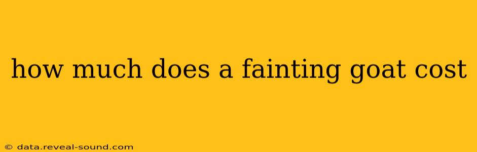 how much does a fainting goat cost