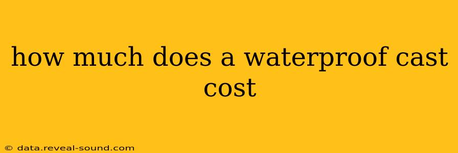 how much does a waterproof cast cost