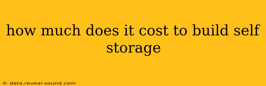 how much does it cost to build self storage