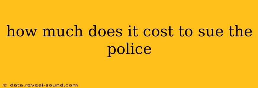 how much does it cost to sue the police