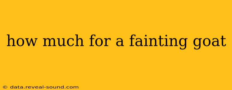 how much for a fainting goat