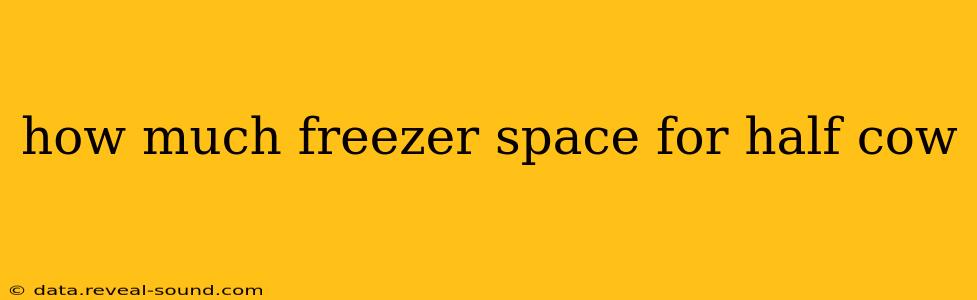 how much freezer space for half cow