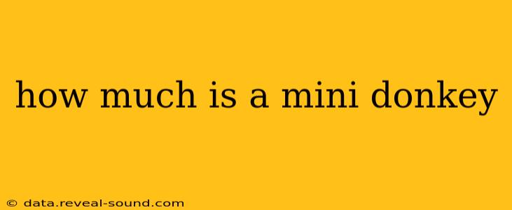 how much is a mini donkey