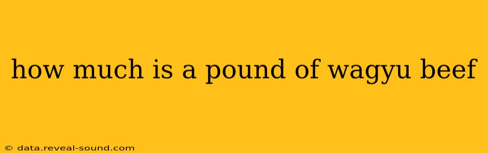 how much is a pound of wagyu beef