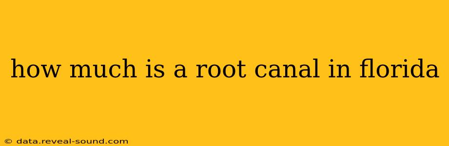 how much is a root canal in florida