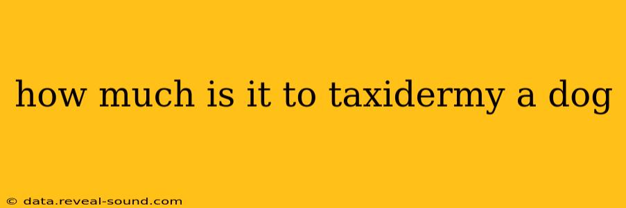 how much is it to taxidermy a dog