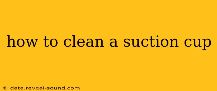 how to clean a suction cup