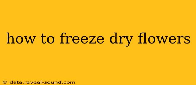 how to freeze dry flowers