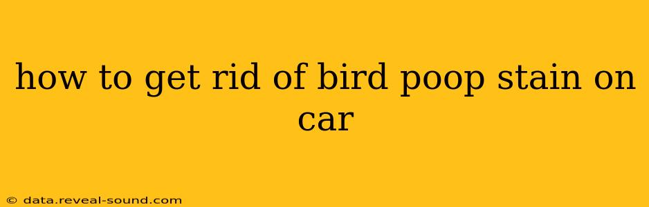 how to get rid of bird poop stain on car