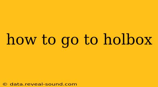 how to go to holbox