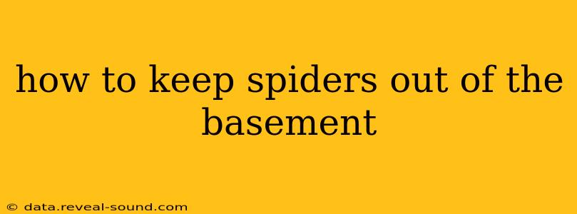 how to keep spiders out of the basement