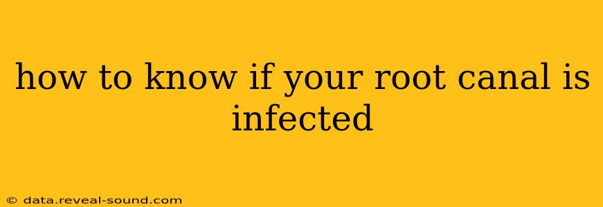 how to know if your root canal is infected