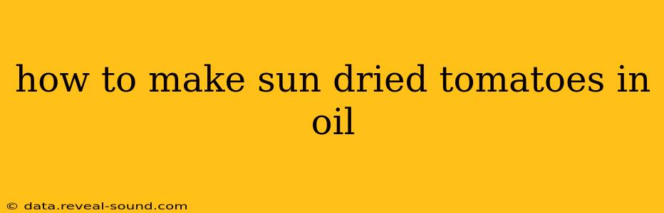how to make sun dried tomatoes in oil
