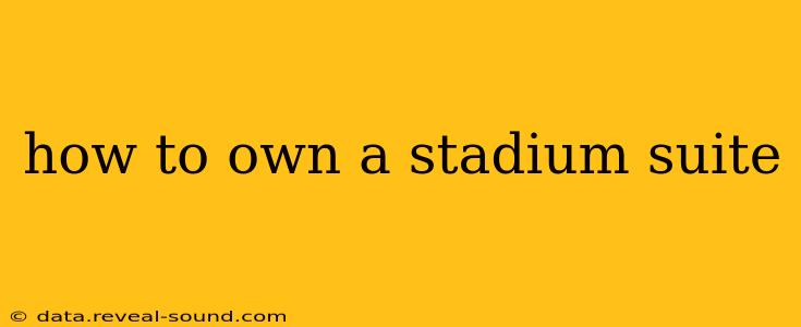 how to own a stadium suite
