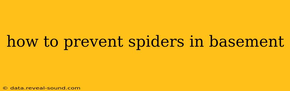 how to prevent spiders in basement