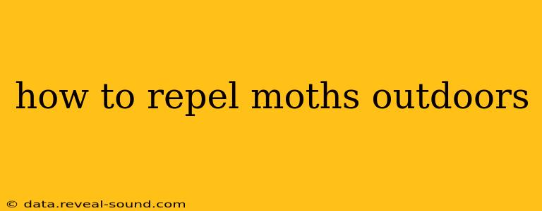 how to repel moths outdoors