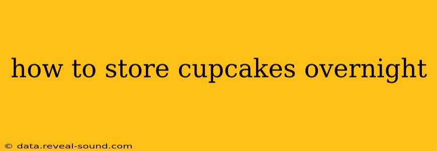 how to store cupcakes overnight